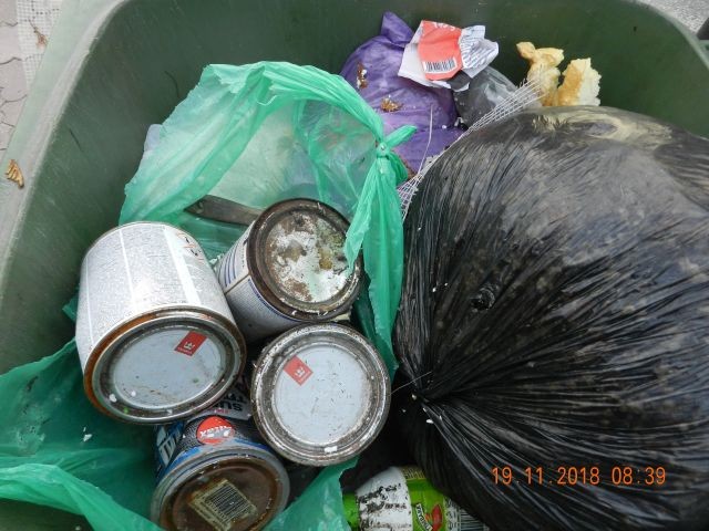Jak wygląda segregowanie odpadów na terenie Gminy Stegna?